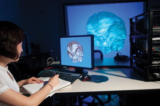 International student at INTO George Mason University looks at 3-D illustration of human brain on computer and takes notes in laboratory.