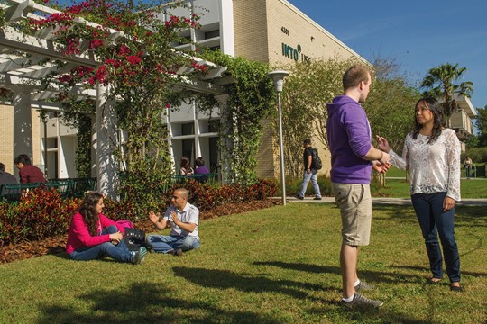 Two pairs of international students speak on lawn in front of INTO University of South Florida Center and patio covered by lattice holding pink flowers. 
