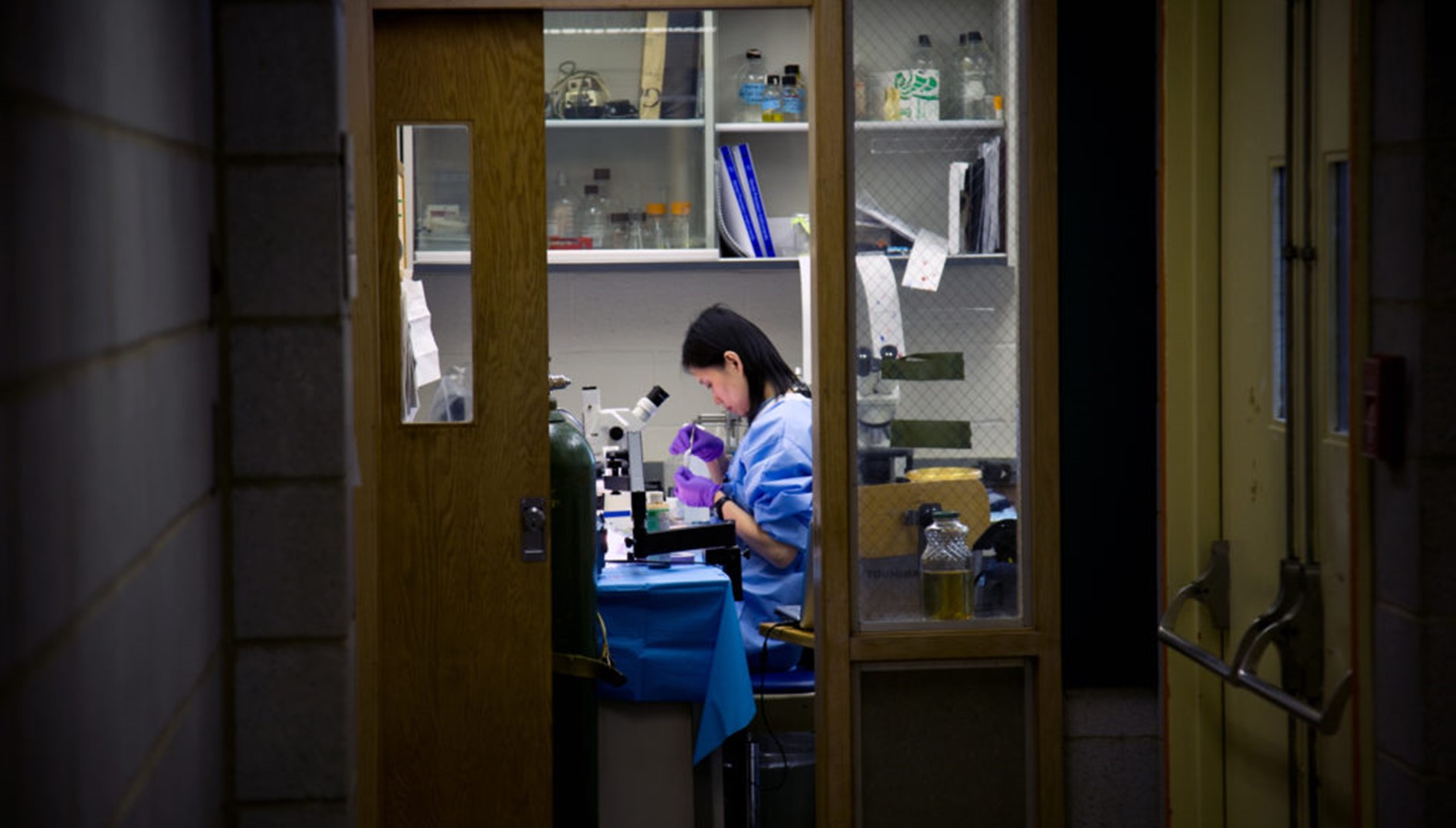 INTO DREW Female Student Doing Biology Research With Microscope Inside Lab Room 28124 1024X682